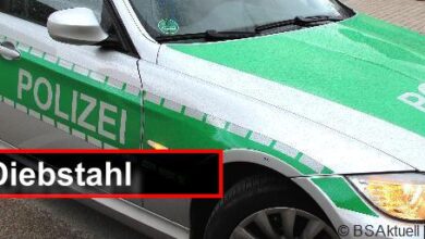 Diebstahl, Polizei, bsaktuell, Obeser