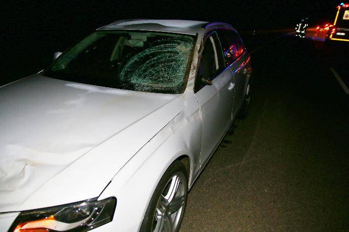 Verkehrsunfall B10 bei Glöttweng mit Pferd