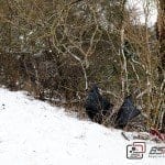 Verkehrsunfall zwischen Schönenberg und Kemnat im Landkreis Günzburg