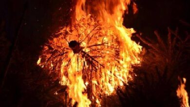 Weihnachtsbaum in Flammen