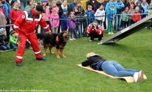 Rettungshundestaffel PersonensucheHelden Event Legoland Deutschland Günzburg