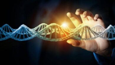 DNA DNS