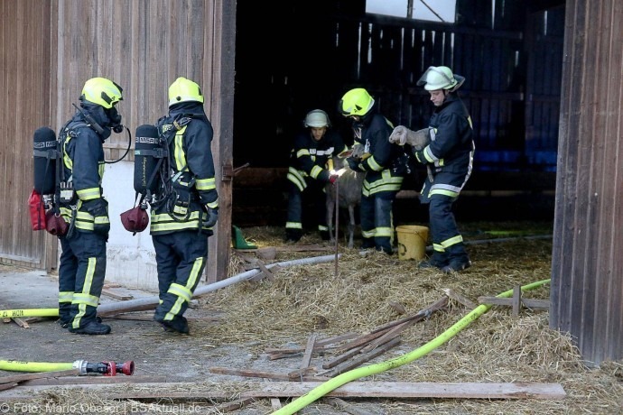 Brand Hürben Schafstall
