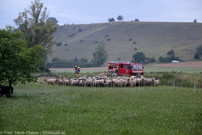 Brand Hürben Schafstall