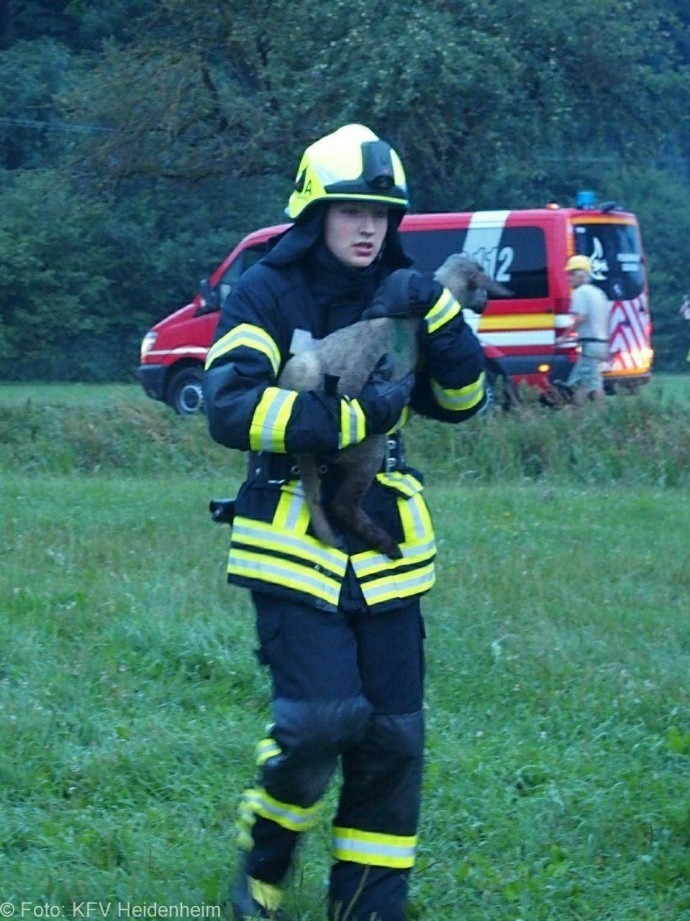 Brand Hürben Schafstall