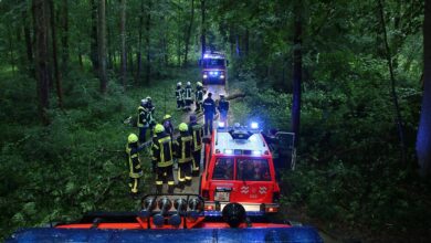 Unglück - Unwetter bei Günzburg Frau von Baum getroffen