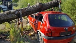 Feuerwehr Guenzburg Fortbildung Schwere Technische Rettung in Abensberg