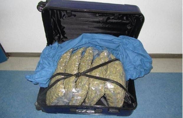 Augsburg Marihuana sichergestelle 1