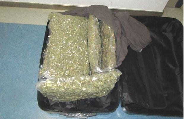 Augsburg Marihuana sichergestelle 2