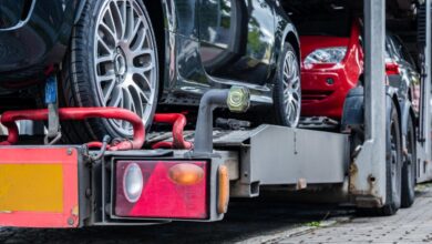 Autotransporter
