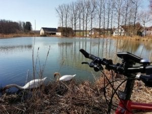 Mühlenweiher Nordholz Landkreis Neu-Ulm