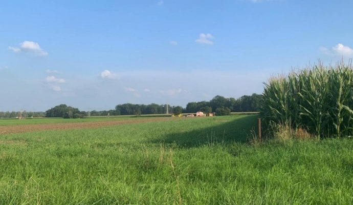 Günzburg Pferd stirbt - Reiterin verletzt 24082019 1