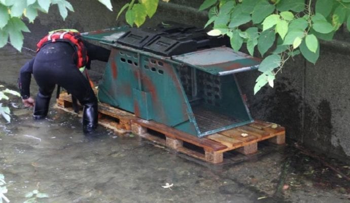 Biber Feuerwehr Augsburg Falle