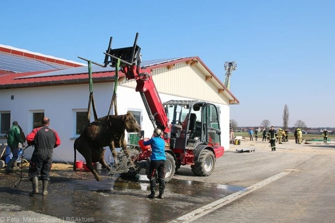 Anhofen Rettung Kuehe 02042020 25