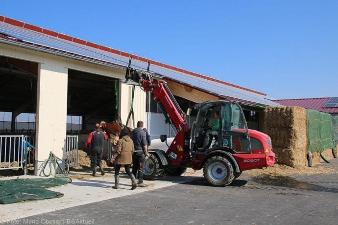 Anhofen Rettung Kuehe 02042020 38