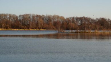 Baggersee See