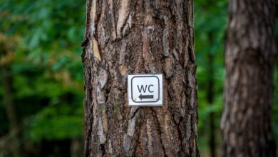 WC Toilette Baum