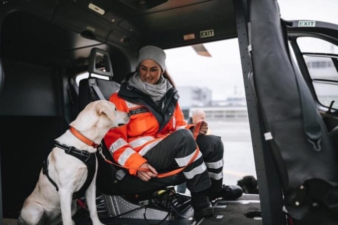 Rettungshund vergiftet BRK Augsburg Maya