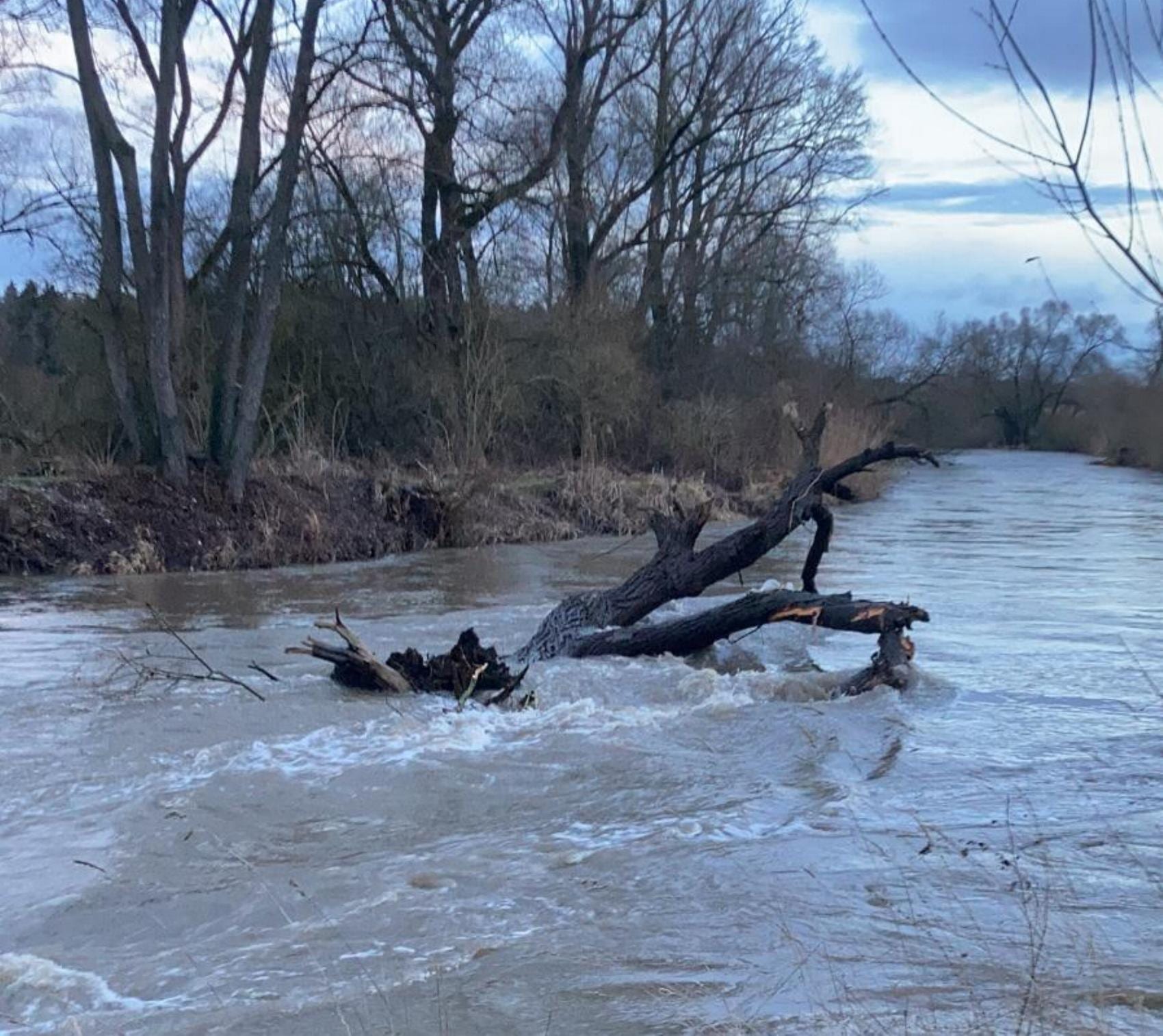 Feuerwehr Grosskoetz Baum Guenz 28012021 3