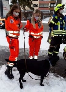 Hund gerettet Feuerwehr Guenzburg