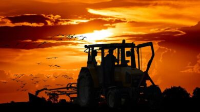 Traktor Acker Feld