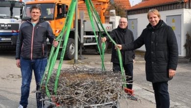 Storchennest Jettingen 1