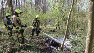 Brand Wald Birket Guenzburg 02042021 4