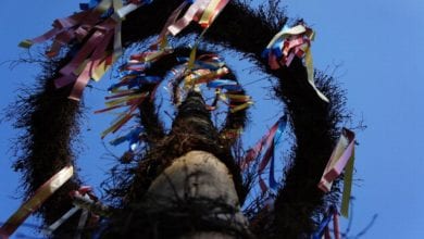 Maibaum