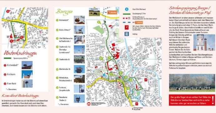 Storchenspatziergang Burgau
