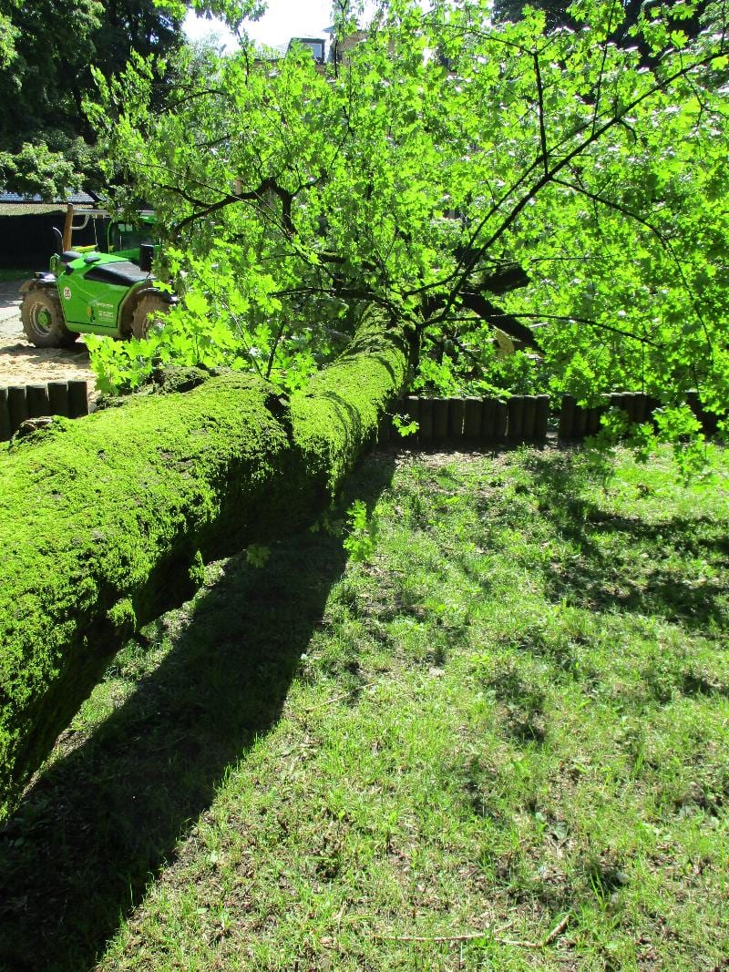 Spielplatz Augsburg Baum Mutter Kind