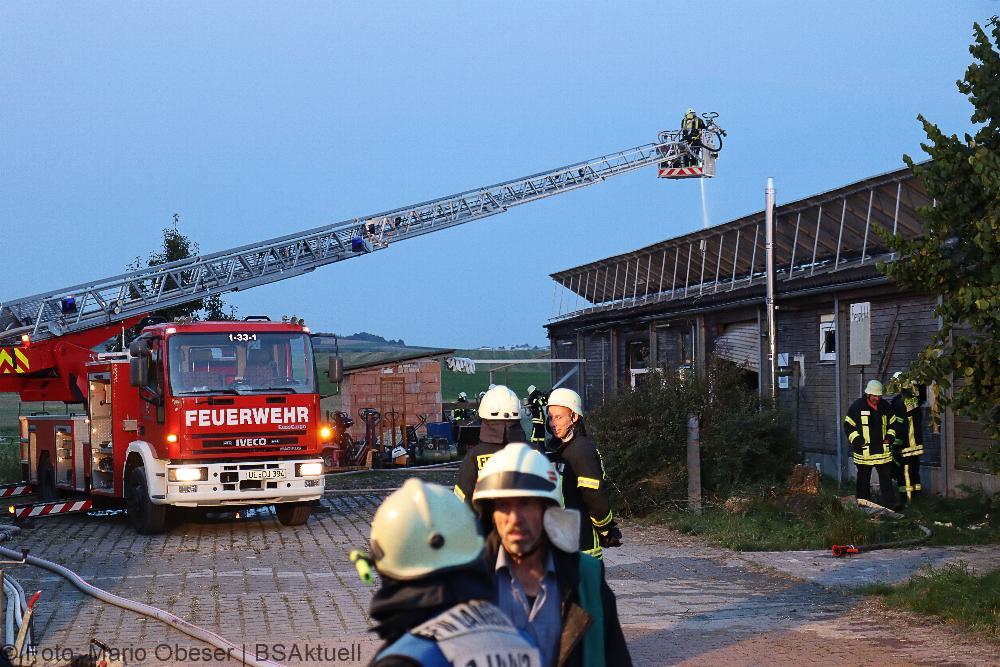 Brand Langenau-Wettingen