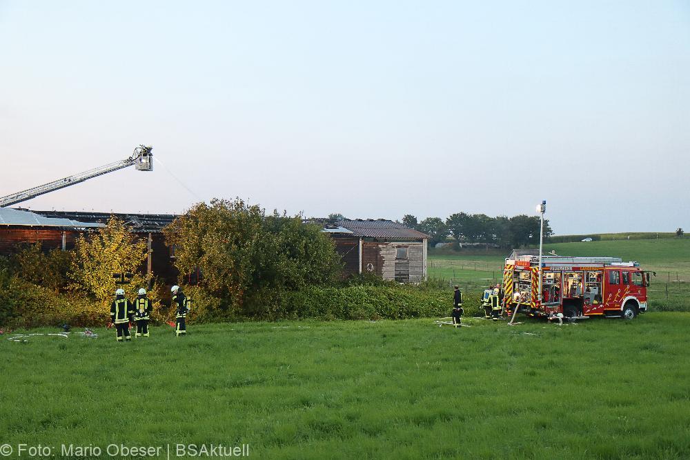 Brand Langenau-Wettingen