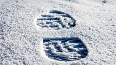 Schnee Spuren Schuhabdruck