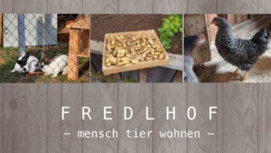 Fredlhof