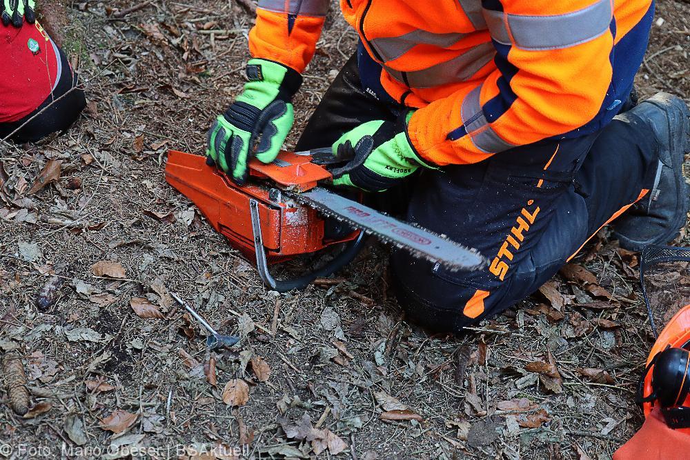 Kettensägen-Lehrgang Feuerwehr Günzburg am 19.02.2022