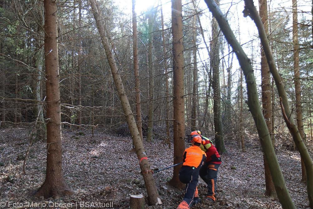 Kettensägen-Lehrgang Feuerwehr Günzburg am 19.02.2022