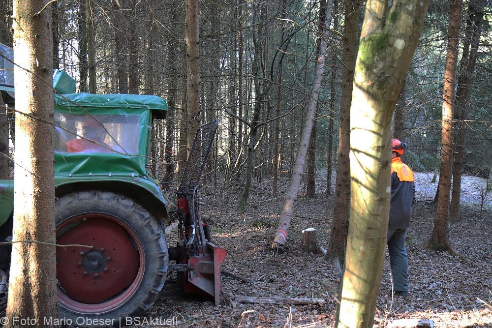 Kettensägen-Lehrgang Feuerwehr Günzburg am 19.02.2022
