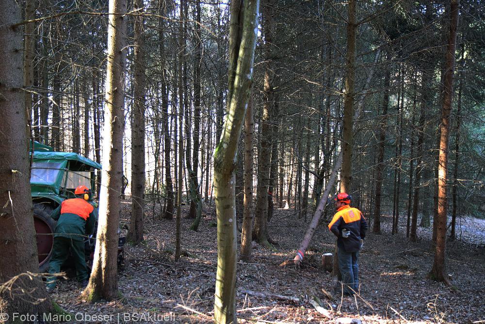 Kettensägen-Lehrgang Feuerwehr Günzburg am 19.02.2022