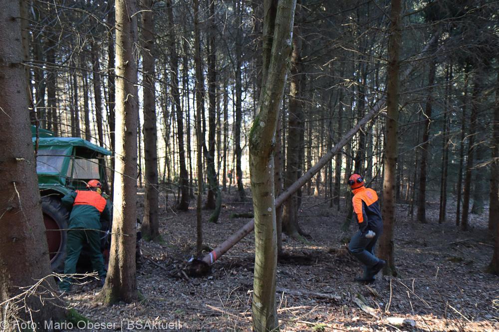 Kettensägen-Lehrgang Feuerwehr Günzburg am 19.02.2022