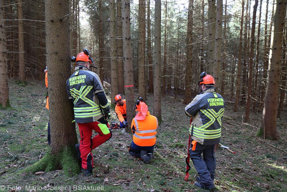 Kettensägen-Lehrgang Feuerwehr Günzburg am 19.02.2022