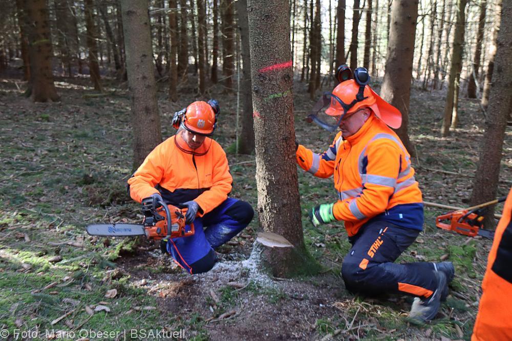 Kettensägen-Lehrgang Feuerwehr Günzburg am 19.02.2022