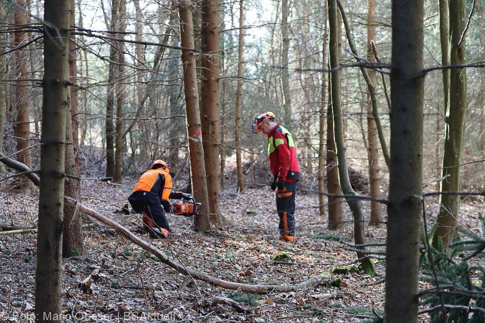 Kettensägen-Lehrgang Feuerwehr Günzburg am 19.02.2022