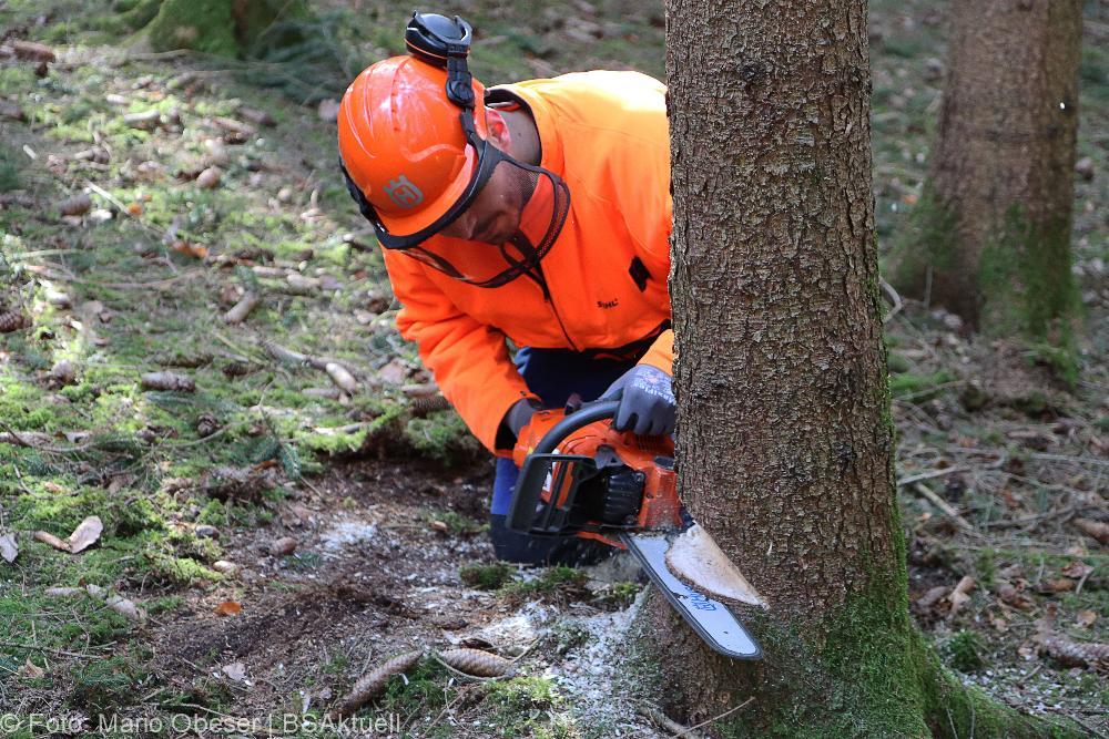 Kettensägen-Lehrgang Feuerwehr Günzburg am 19.02.2022