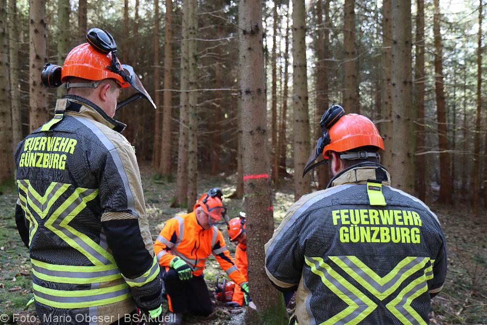 Kettensägen-Lehrgang Feuerwehr Günzburg am 19.02.2022