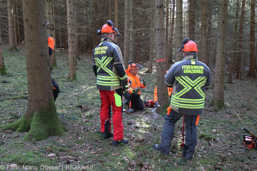 Kettensägen-Lehrgang Feuerwehr Günzburg am 19.02.2022