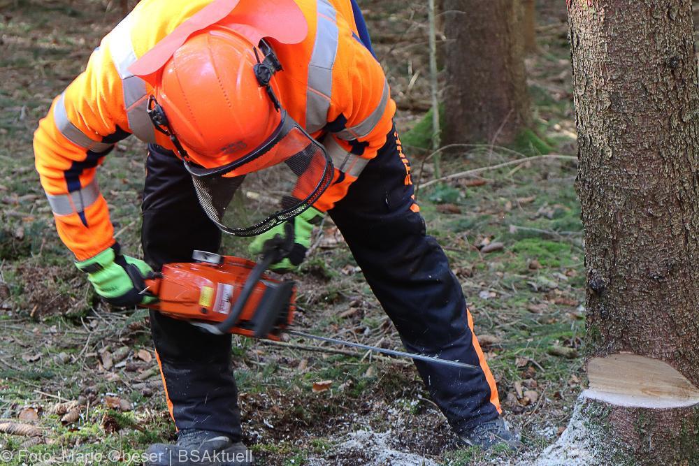 Kettensägen-Lehrgang Feuerwehr Günzburg am 19.02.2022