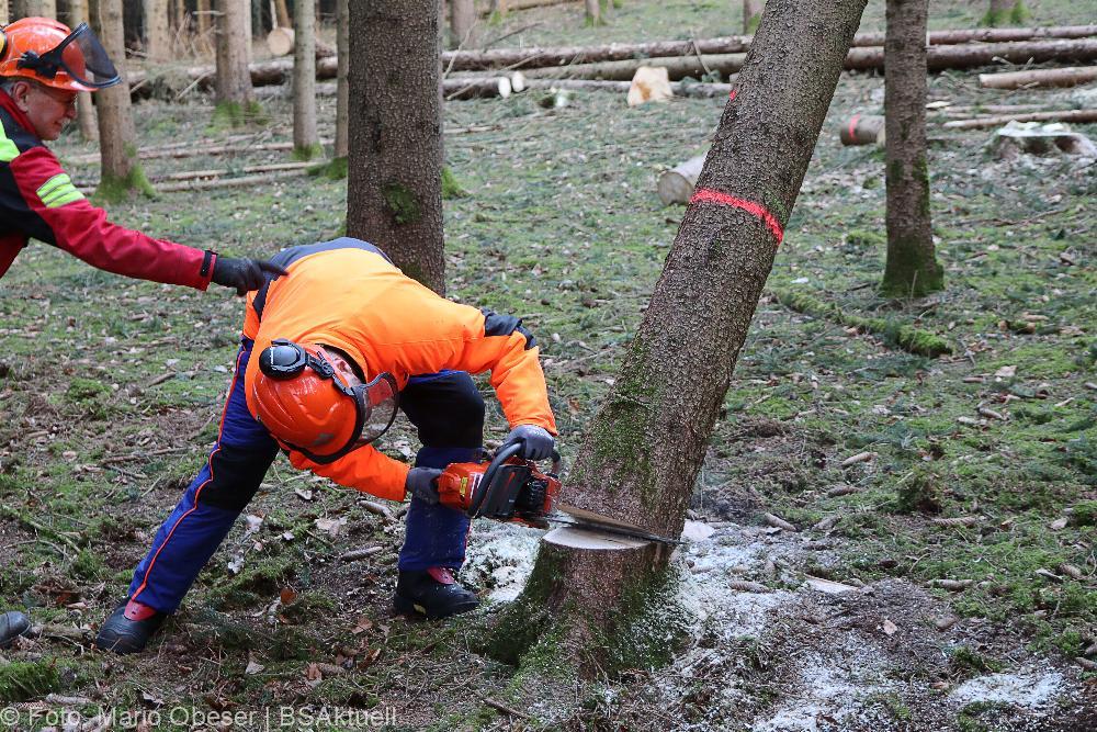 Kettensägen-Lehrgang Feuerwehr Günzburg am 19.02.2022