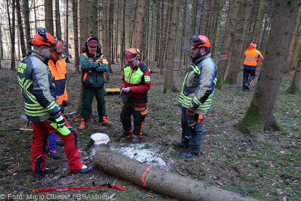 Kettensägen-Lehrgang Feuerwehr Günzburg am 19.02.2022