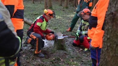 Kettensägen-Lehrgang Feuerwehr Günzburg am 19.02.2022
