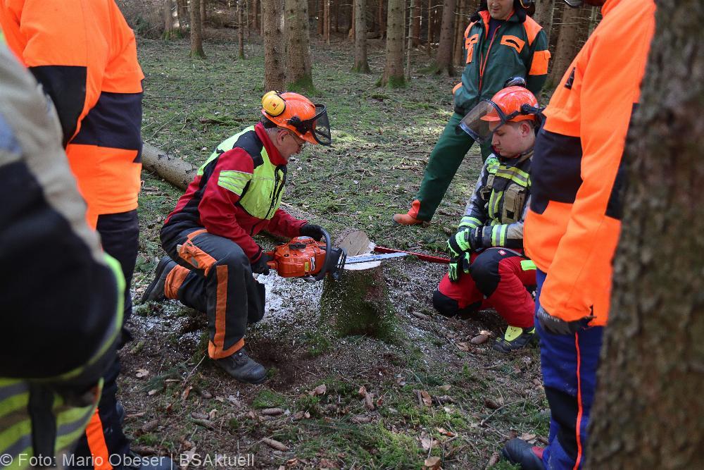 Kettensägen-Lehrgang Feuerwehr Günzburg am 19.02.2022